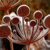 Metal-Cow-Parsley-Sculpture